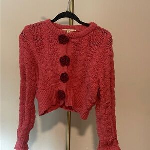 Urban Outfitters Kimchii Blue cropped Medium Button up Sweater